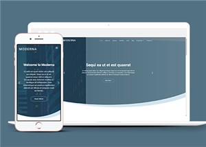 灰藍簡約響應式信息科技公司網站模板