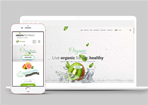 清爽寬屏綠色有機水果蔬菜商城網站模板