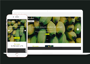 宽屏大图蔬菜水果种植基地企业网站模板