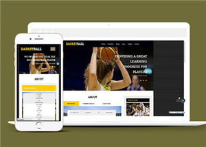 NBA篮球视频网站通用模板下载