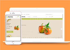 简洁蔬菜水果超市电商网站模板源码下载