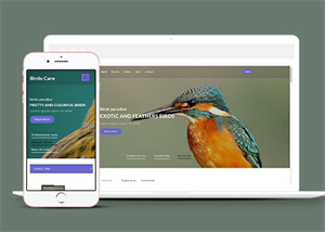 專業鳥類百科HTML網站模板