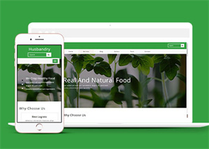 简洁绿色有机水果网站模板下载