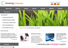 商务企业网站CSS模板21