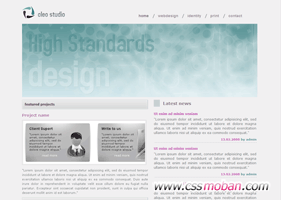簡潔的設計公司CSS模板