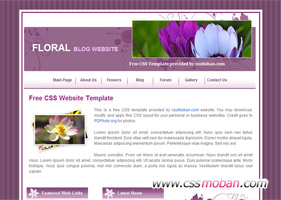 紫色花类展示网页模板