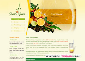 漂亮的水果食物类网站模板