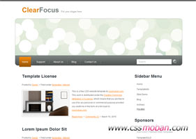 橙色干凈的web20網頁模板