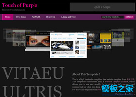 紫色3D幻燈展示型HTML模板