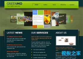 綠色漂亮大氣幻燈企業網站模板