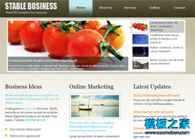 简洁棕色商务企业网站模板