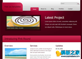 粉紅色大氣質感產品網站模板