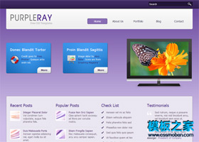 紫色美容企业网站模板下载