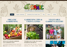 花紋質感漂亮的水果蔬菜網站模板