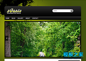 水墨背景綠色森林html5模板
