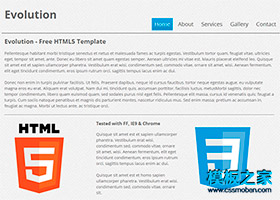 干净简洁斜纹背景HTML5网站模板