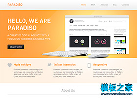 橙色背景網站設計企業官網模板下載