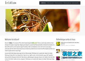 大圖婚紗攝影行業網站html5模板