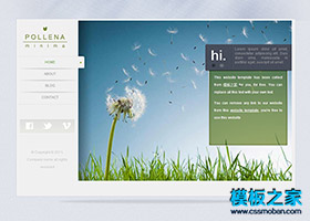 绿色植物迷你网页模板下载