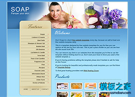 藍色魅惑SPA女性美容企業網站