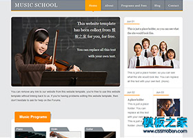 灰色简洁漂亮的音乐学校网站模板