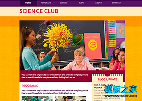 紫色导航纯静的学校教育网站模板