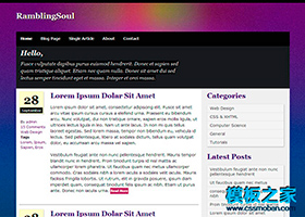 紫色背景漂亮清晰的CSS3模板