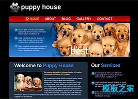 黑色背景小狗宠物之家网页模板