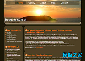棕色夕阳风景企业网站模板