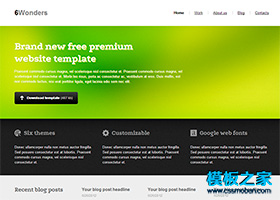 精美漂亮的軟件企業網站模板(綠色)