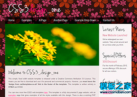 漂亮的花色背景二栏css3博客模板