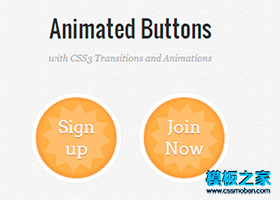 CSS3动画按钮代码免费下载