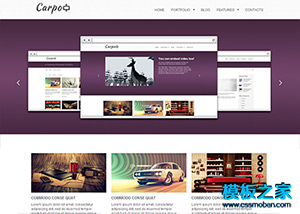紫色大圖動畫商業網站整站模板