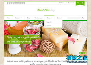 绿色亚麻背景spa美容休闲企业网站模板
