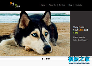 黑色寬屏大圖寵物狗狗俱樂部網站模板