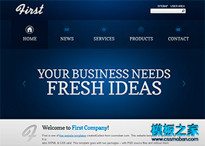 大氣質感藍色商務投資咨詢企業網站模板