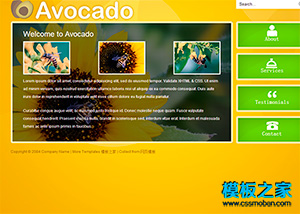 黄色背景迷你网页作品展示HTML模板