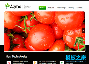 綠色水果蔬菜農業產品企業網頁模板