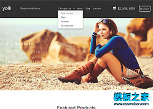 时尚大气的女鞋网上商城购物网站模板