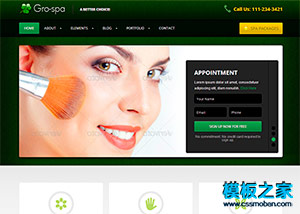 绿色漂亮设计女性美容化妆企业网站模板