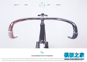 漂亮小清新自行车展示官网企业模板