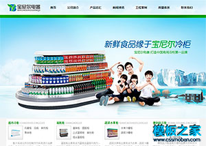 绿色大气超市冷柜电器企业官网模板