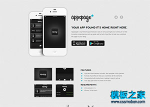 灰色暗格手机app软件产品展示官网模板