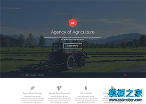 扁平化单页农业农副产品企业网站模板