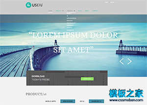 web ui項目開發公司官網企業模板