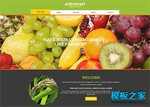 綠色農家樂有機蔬菜種植網頁模板