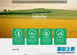 農業集團CSS3動畫企業網站模板