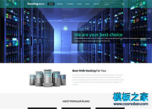 網絡虛擬空間host企業網站模板