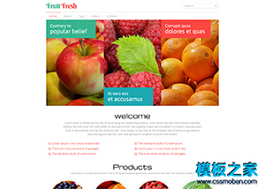 新鮮水果O2O線上賣場網站模板下載
