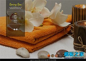全屏大气响应式美容护肤spa网站模板